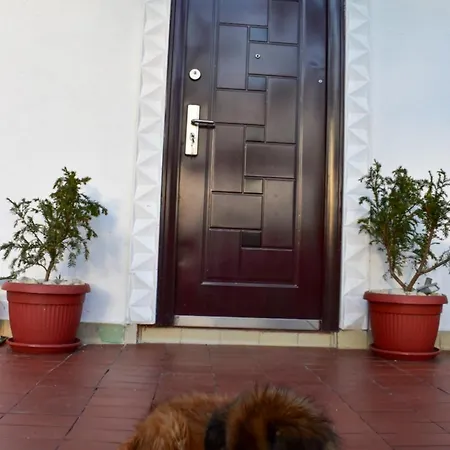 Merona With Swimming Pool * Trebinje