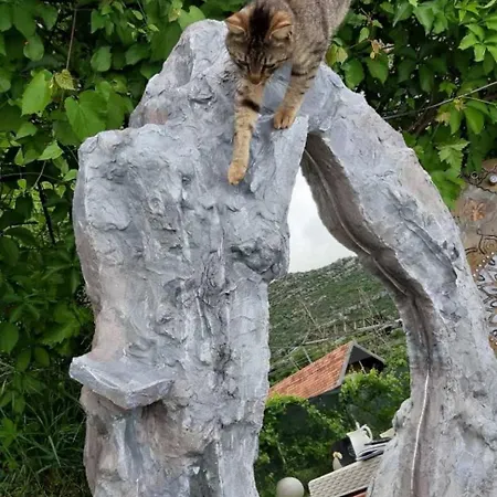 Merona With Swimming Pool Apartament Trebinje